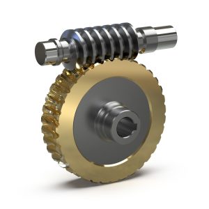 Worm Gear And Shaft