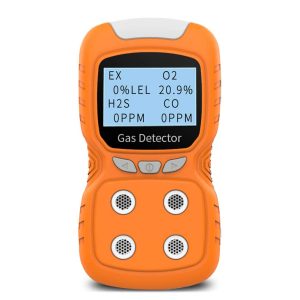 Gas Detector